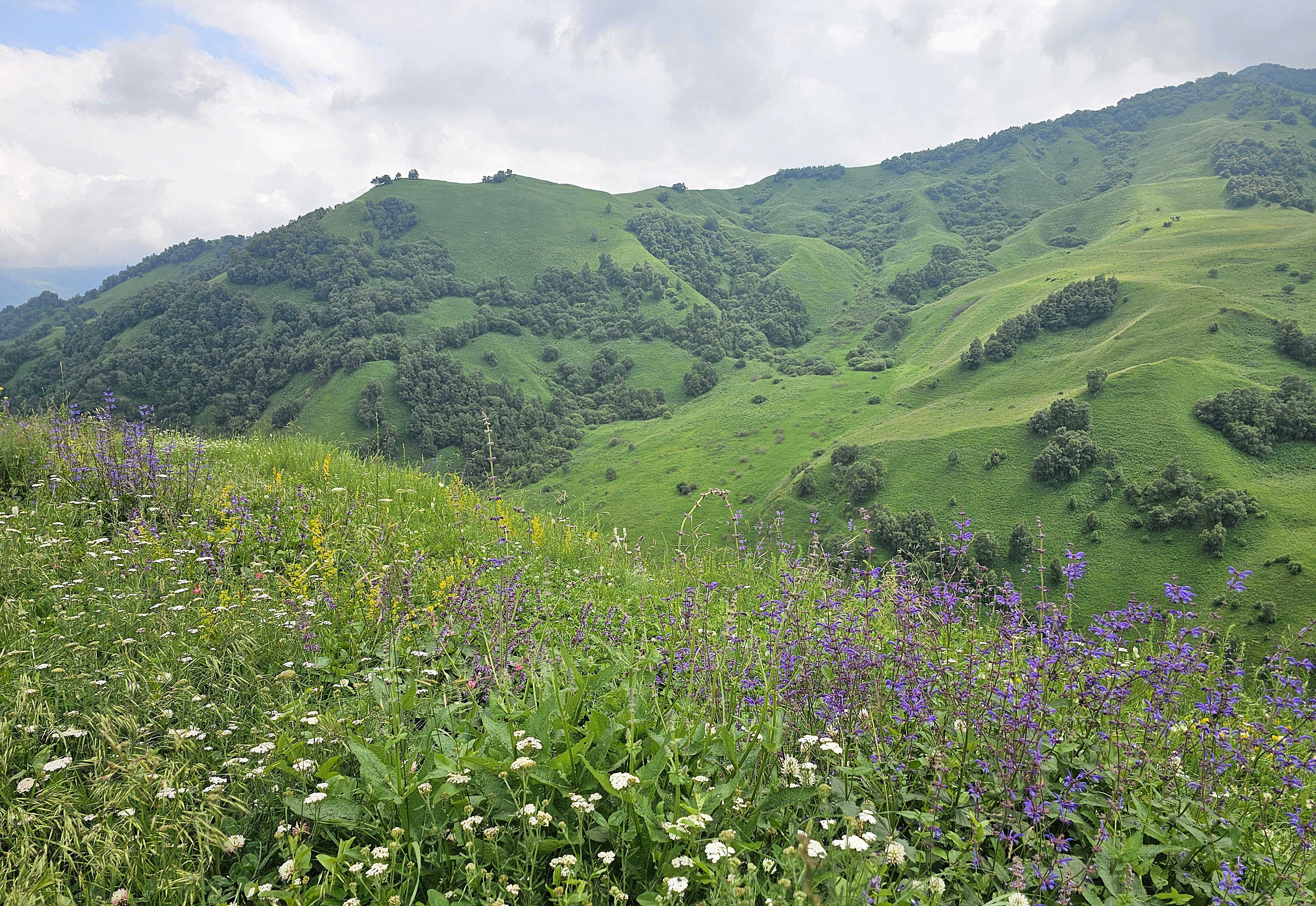 Elbrus